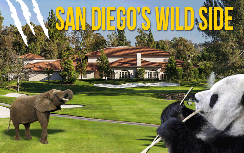 San Diego's Wild Side
